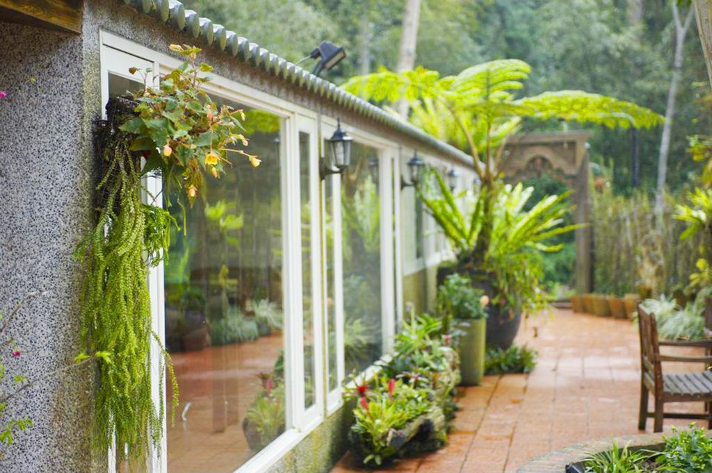 Green Shine B&B Nanzhuang Luaran gambar